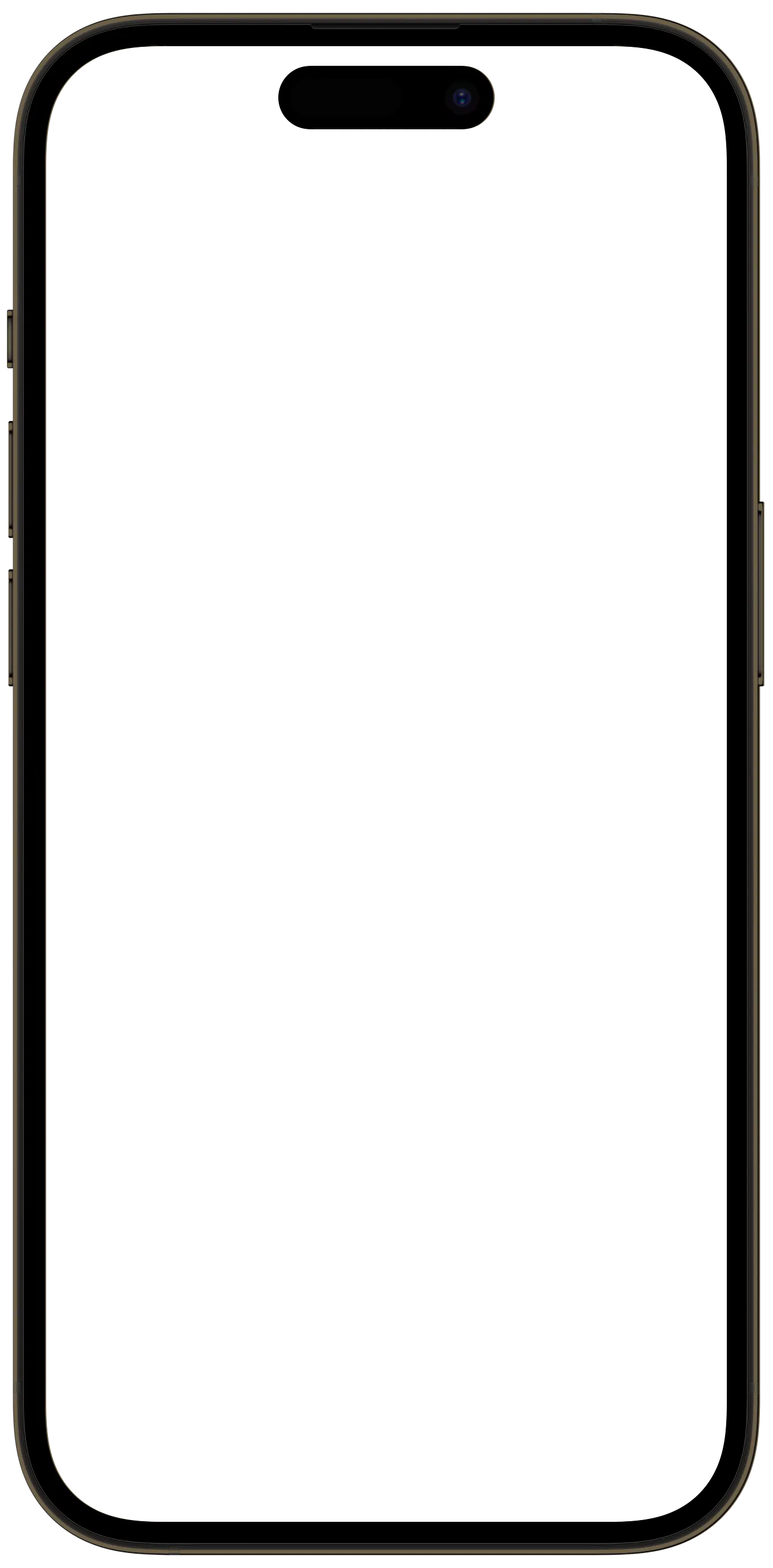 iPhone frame